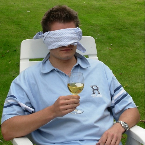 Madness of Wine and Language