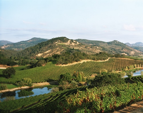 On the Voice of a Place… and Being Swept Away