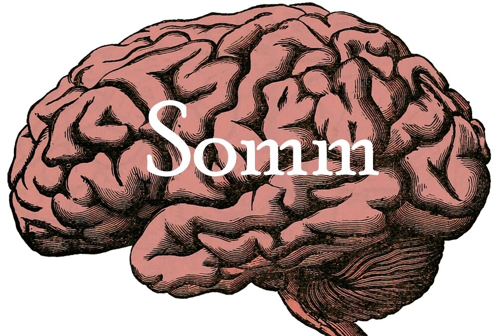 You Want Somm Brains