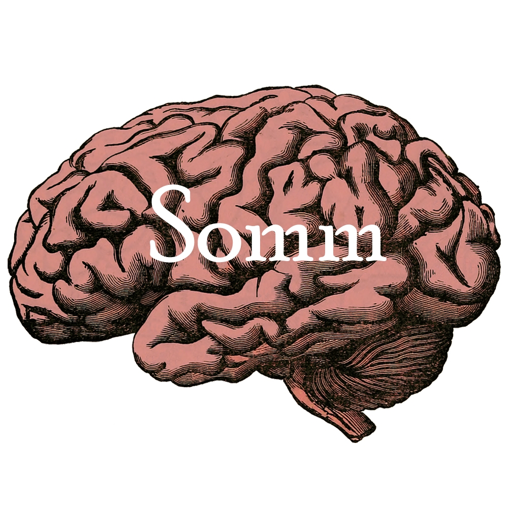 Somm Brain