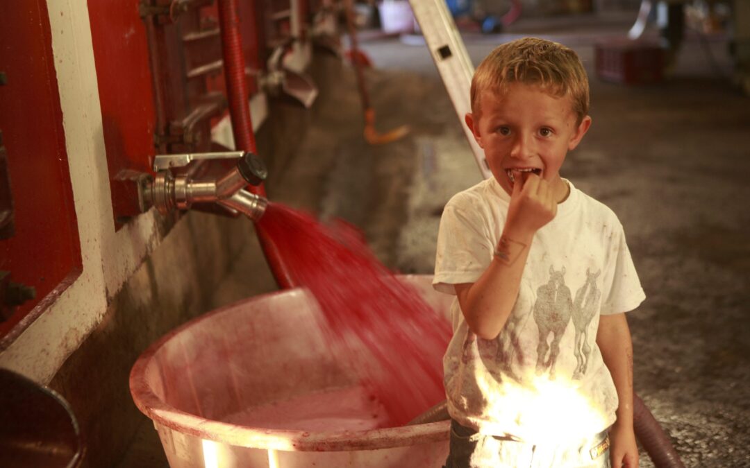Should You Give Your Kids Wine?