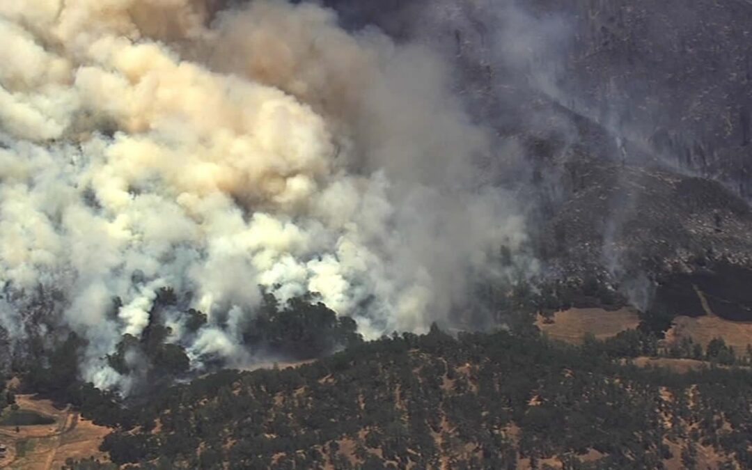 Smoke Taint: What We Know