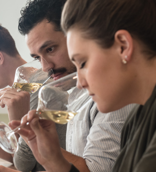 Women or Men…Who Has Better Wine Tasting Ability?