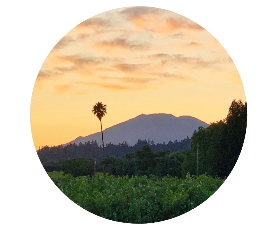 Guest Blog