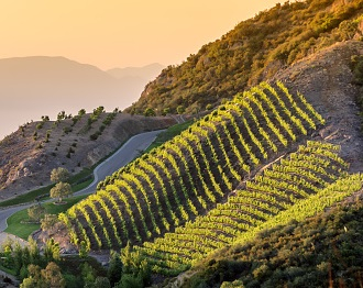 Mountain Majesty— Why Mountains Can Make Great Wine