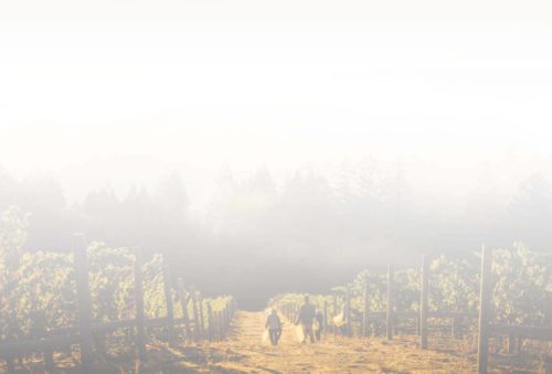 Walking Road