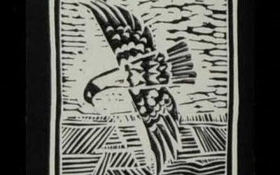 The Eagle Doesn’t Scream