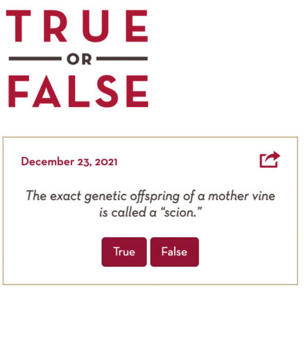 WineSpeed True or False
