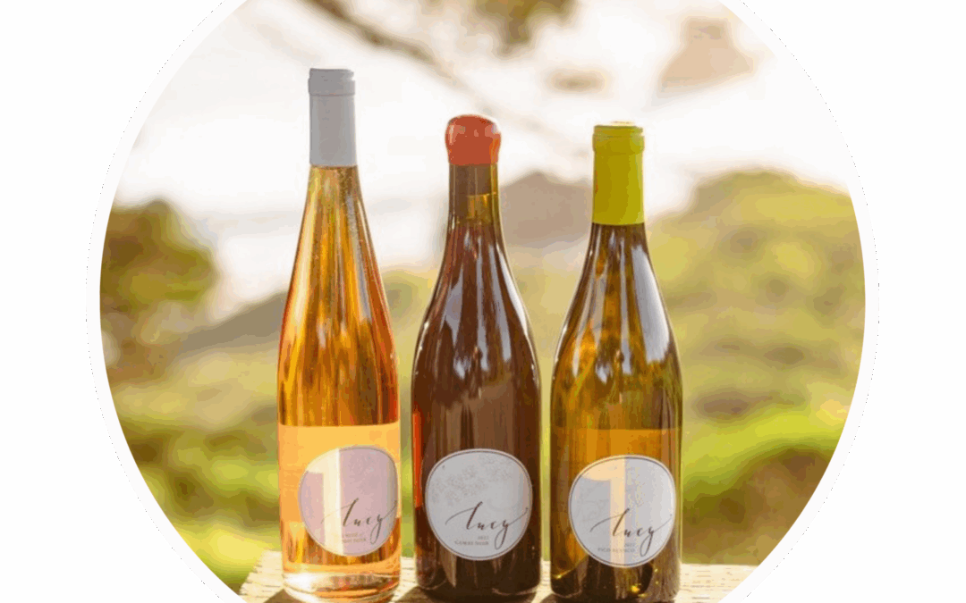 SPOTLIGHT: I LOVE LUCY