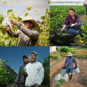 HIDING GUILT AND RACISM