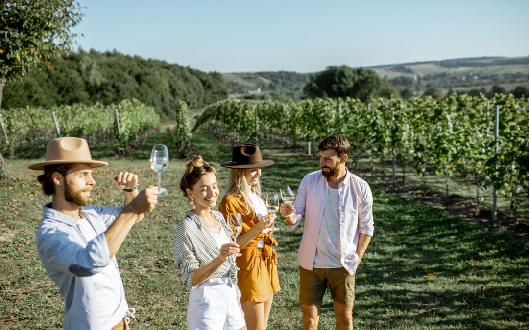 What Makes Great Wine Great?